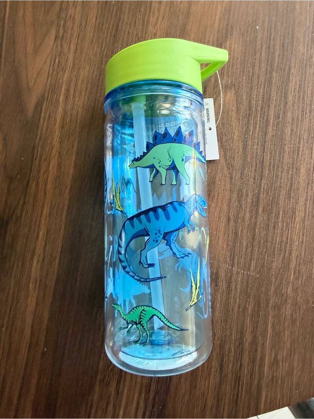 Mainstays Blue Dinosaur Straw Bottle with Green Lid 14oz tritan